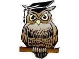 An owl with a mortar board, looking stern